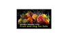 75" Black Large Format Digital Signage Display Full HD Android 14 HDMI DisplayPort USB-C