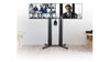 Premium Freestanding Twin Screen Stand
