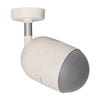 Projection Speaker 100v Line 3 Years Warranty