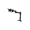 Double Arm Flat Screen Desk Mount for Screens up to 24" Max Weight 9kg - Graphite black
