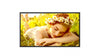 32" Black FHD Large Format Display 3x HDMI 24/7