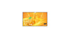 43" Black 4K UHD Large Format Display 3x HDMI 24/7