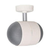 Projection Speaker 100v Line