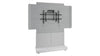 Forum&trade; Free-Standing 48" (2-Bay) Display Stand for (1) 55" to 65" Display Light Finish