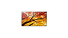 55" Black Large Format Display 550 cd/m2 24/7
