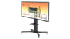 Flat Panel Motorised Trolley