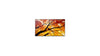 65" Black LCD IPS Large Format Display 3x HDMI 24/7