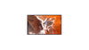 43" Black 4K Large Format Display 4x HDMI 24/7