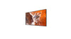 55" Black 4K Large Format Display 4x HDMI 24/7