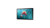 13"Black Small Format Display Full HD 250 cd/m2 16/7 Operation