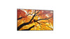86" Black MultiSync Large Format Display 550 cd/m2 24/7