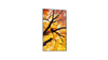 86" Black MultiSync Large Format Display 550 cd/m2 24/7