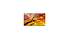 98" Black LCD MultiSync Large Format Display