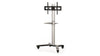 Flat Screen Floor Stand/Trolley for Screens up to 55"